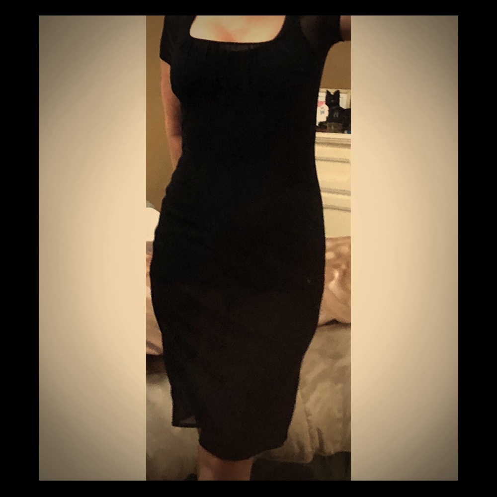 Sheer Vivienne Tam dress